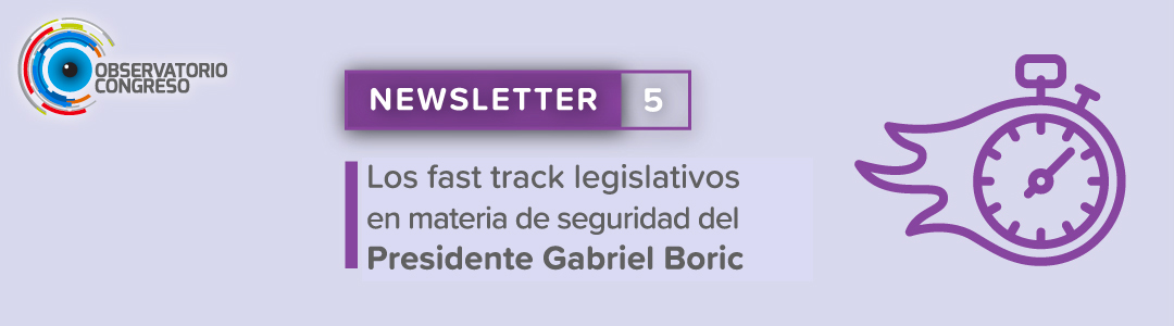 EL SEGUNDO FAST TRACK LEGISLATIVO EN MATERIA DE SEGURIDAD DEL PRESIDENTE BORIC